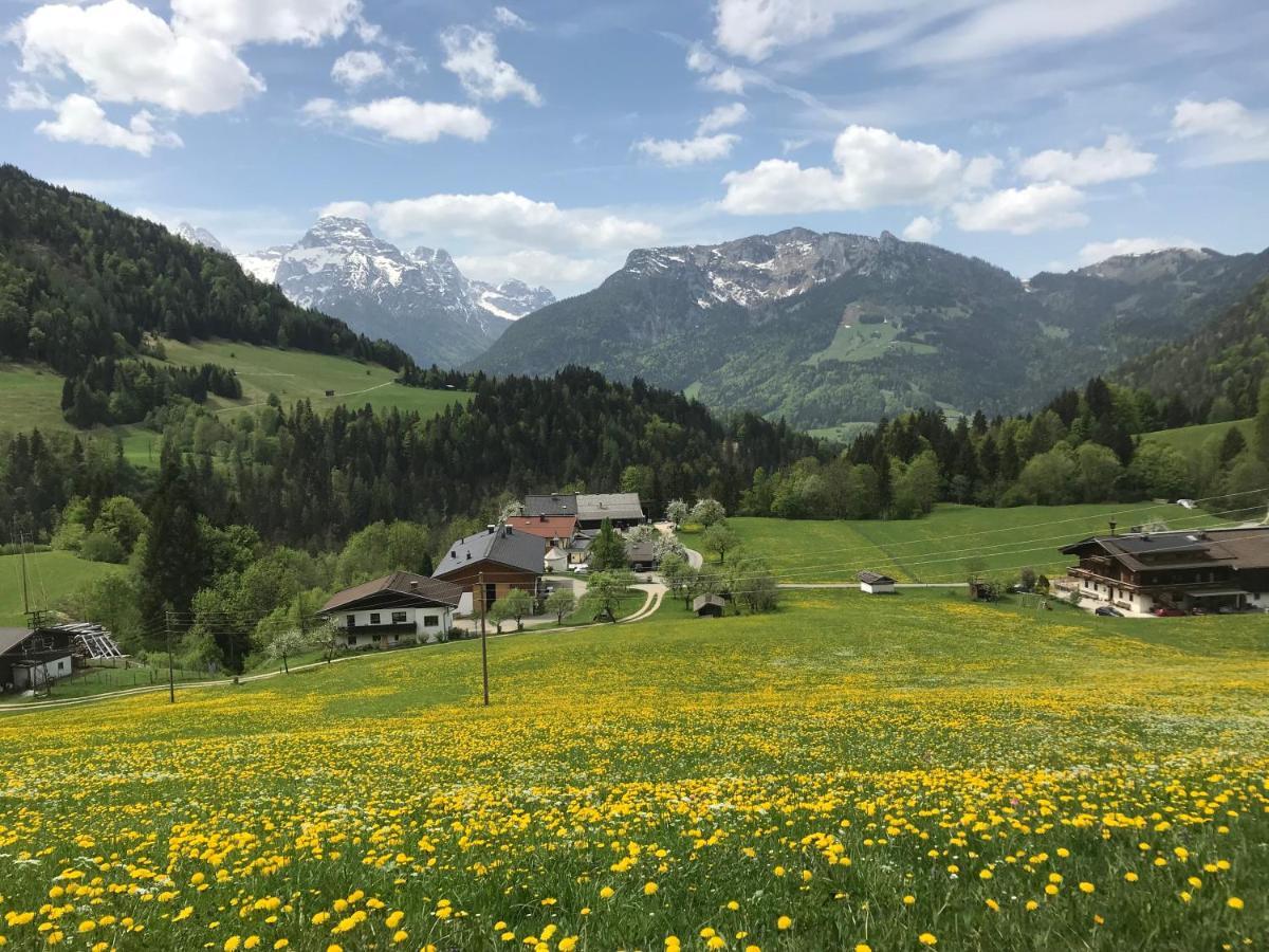Haus Bergsicht Loferアパートメント エクステリア 写真